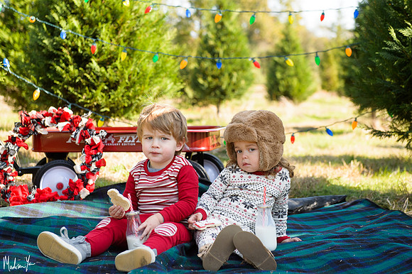 xmasmini15maddiemoree-5
