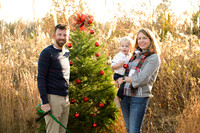 xmasmini35maddiemoree-10