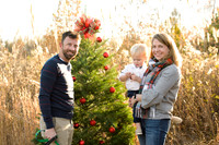 xmasmini35maddiemoree-9