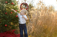 xmasmini35maddiemoree-17