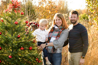 xmasmini35maddiemoree-14