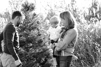 xmasmini35maddiemoree-8