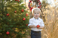 xmasmini35maddiemoree-16